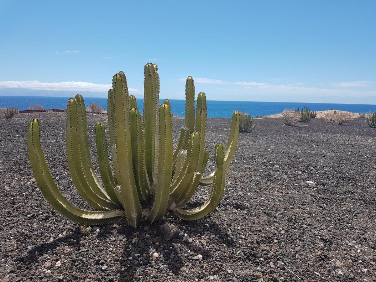 Tenerife Lizards - Duplex In The First Line Callao Salvaje Exterior photo